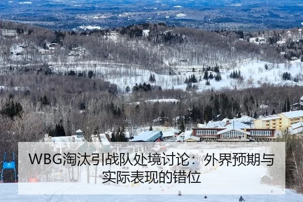 WBG淘汰引战队处境讨论：外界预期与实际表现的错位